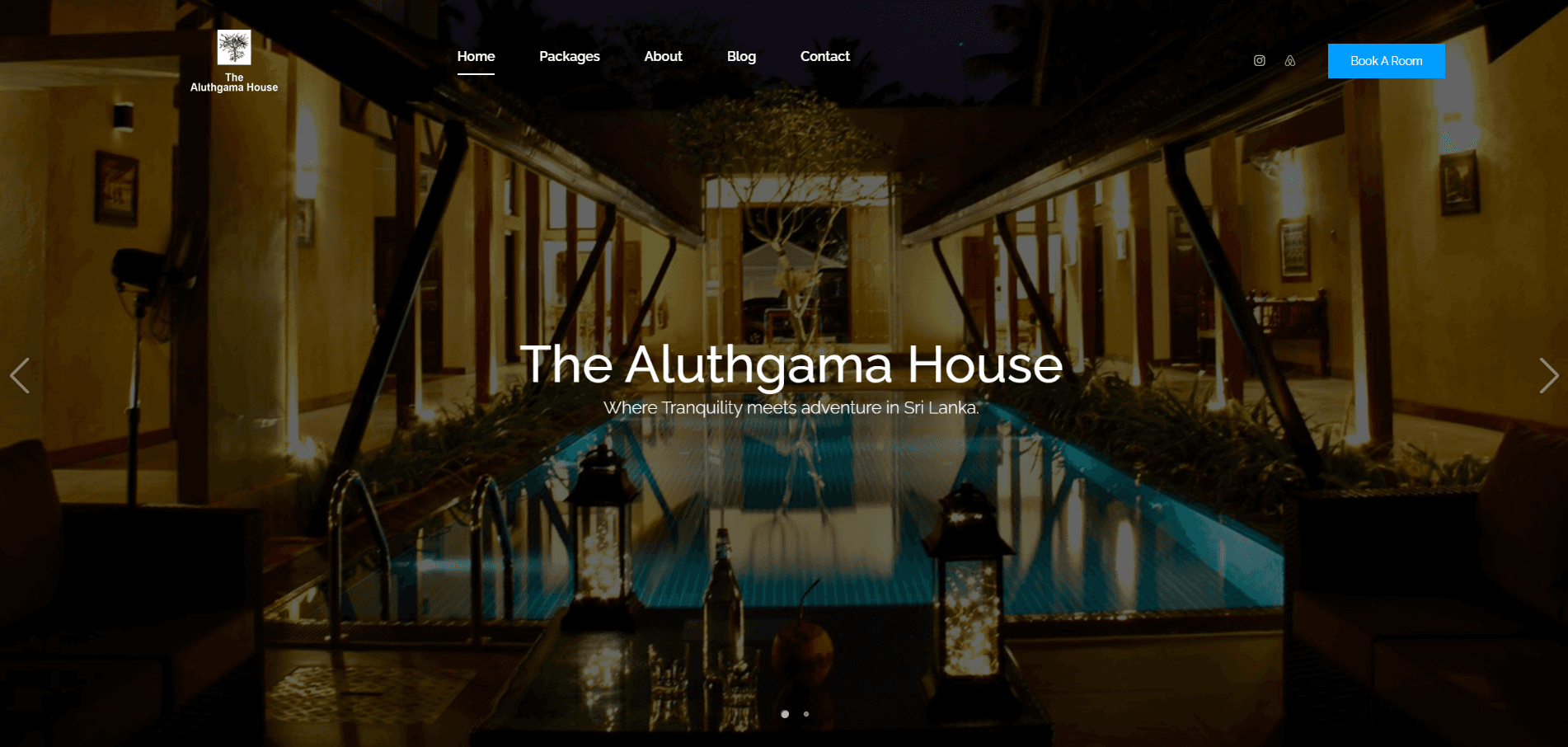 Landing Website